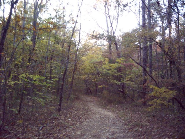 firetowertrail.jpg