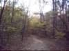 firetowertrail_small.jpg