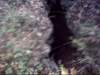 iwonderhowfartherabbitholegoes_small.jpg