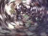 playingwiththecamera_small.jpg