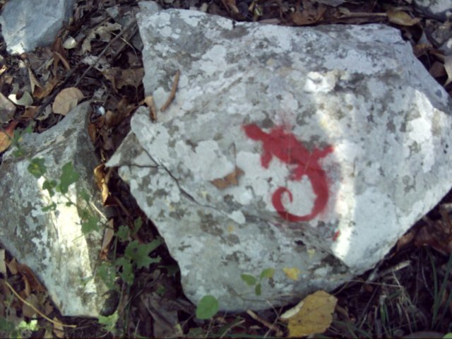 redlizardtrailmarking.jpg
