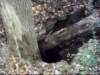 sinkhole_small.jpg