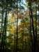 warpathridgetrail_small.jpg