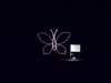 dsci0064_small.jpg