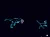 dsci0077_small.jpg
