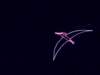 dsci0078_small.jpg