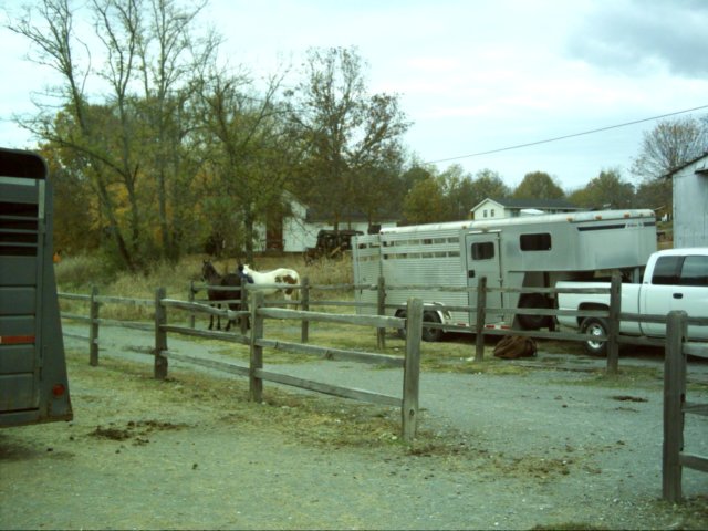 dsci0002.jpg