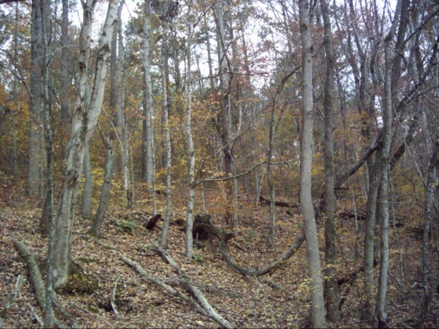 dsci0033.jpg
