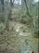 dsci0064_small.jpg