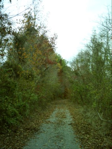 dsci0066.jpg