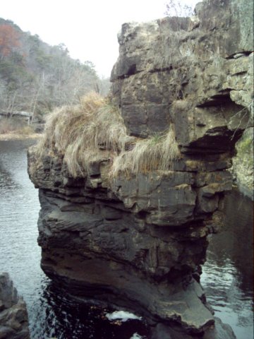 dsci0044.jpg