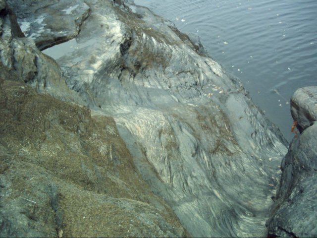 dsci0053.jpg