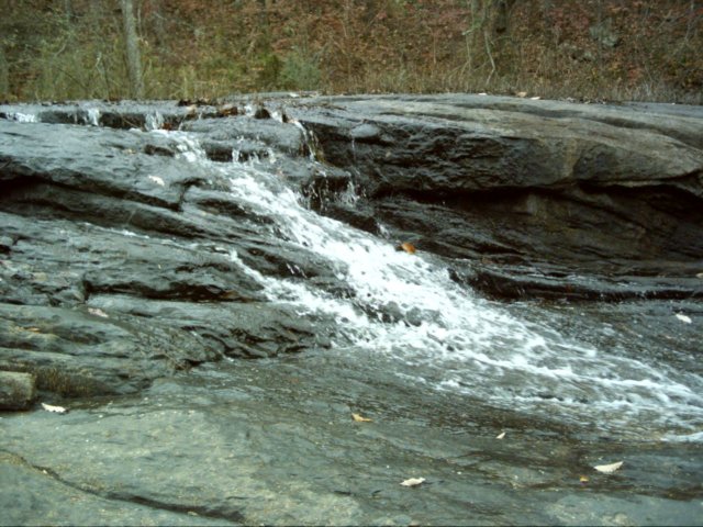 dsci0054.jpg