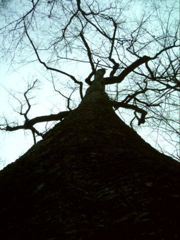 dsci0151.jpg