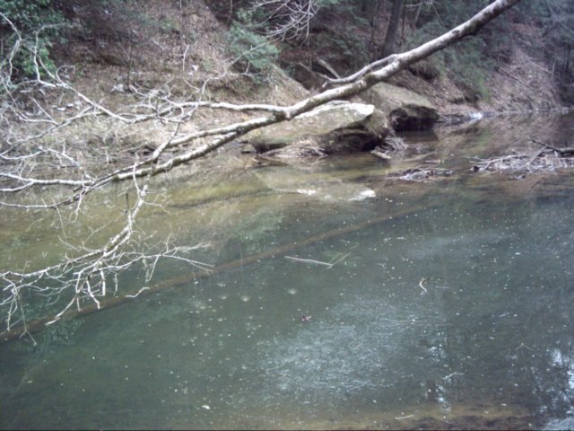 dsci0159.jpg