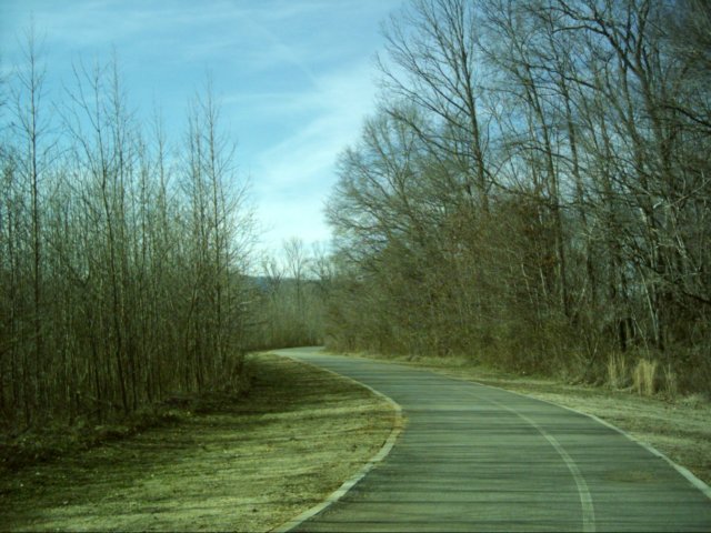 lookingnorthonthebigcovegreenway.jpg