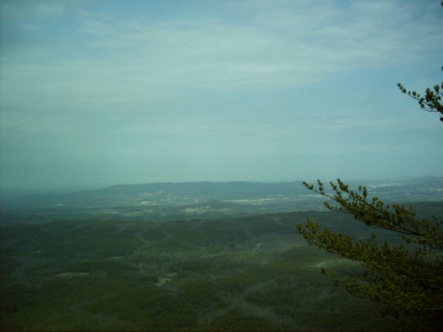 dsci0020.jpg