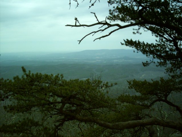 dsci0039.jpg
