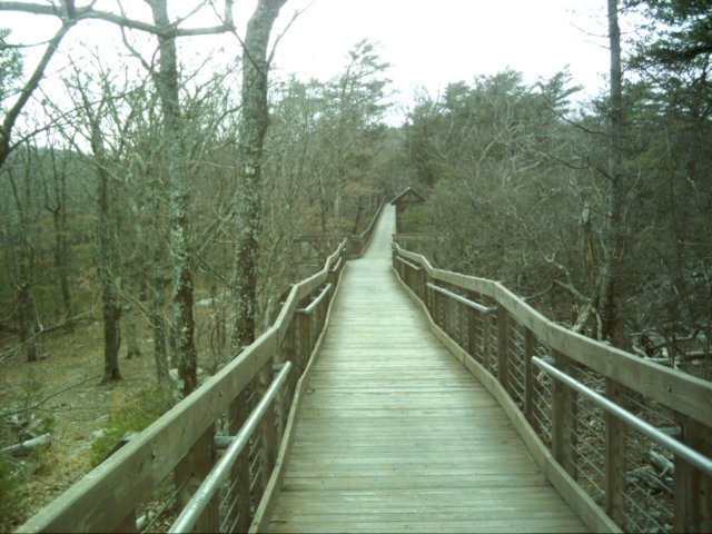 dsci0042.jpg
