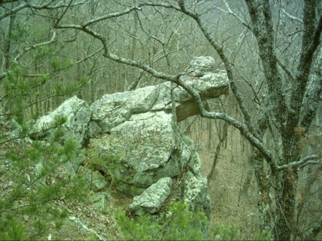 dsci0050.jpg