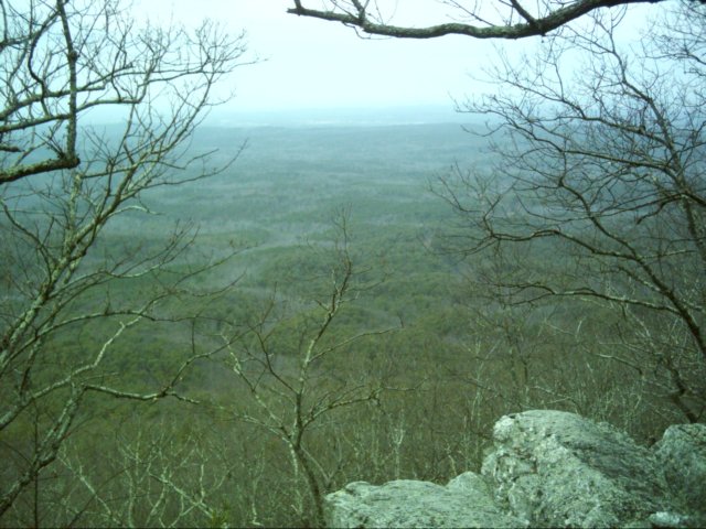 dsci0051.jpg