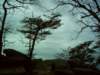 dsci0054_small.jpg
