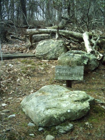 dsci0122.jpg