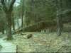 dsci0125_small.jpg