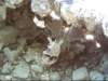 dsci0011_small.jpg