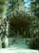dsci0033_small.jpg