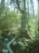 dsci0044_small.jpg