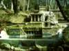 dsci0045_small.jpg