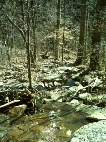 dsci0026.jpg