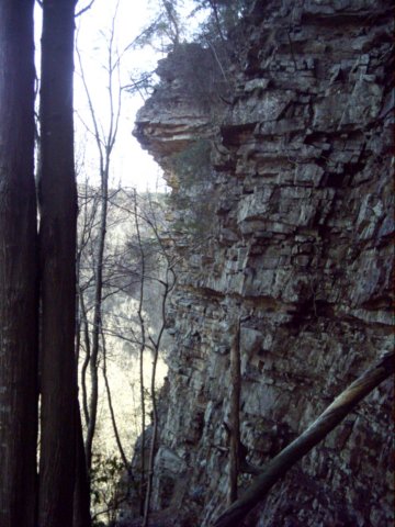 rockcliffalongtrailtobaseofnaturalbridge.jpg