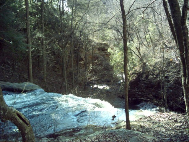 topoflowerpisgahfalls.jpg