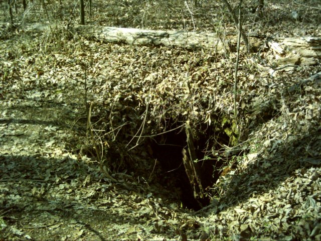 sinkholecave.jpg