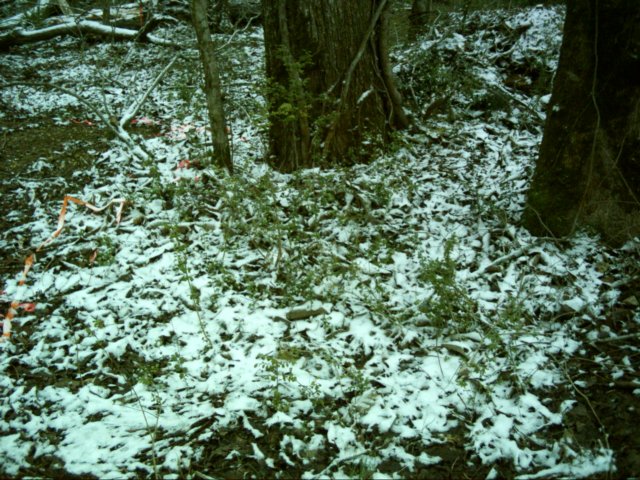 dsci0072.jpg