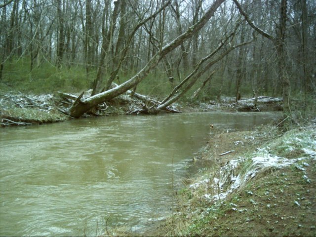 dsci0077.jpg