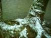 dsci0080_small.jpg
