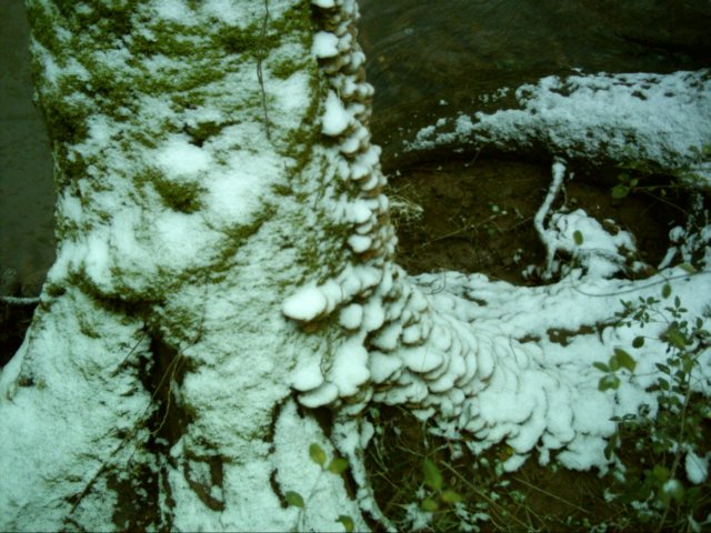 dsci0081.jpg