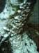 dsci0084_small.jpg