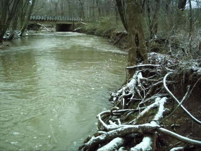 dsci0085.jpg