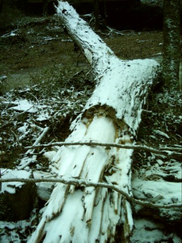 dsci0086.jpg