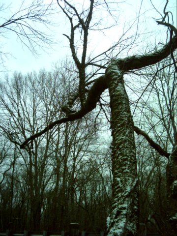 dsci0088.jpg