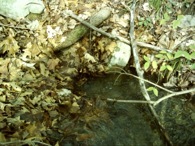 anotherspringfeedingstreamwaterfalls.jpg