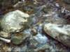 dsci0016_small.jpg