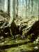 dsci0046_small.jpg