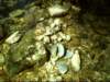 dsci0075_small.jpg