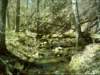 dsci0077_small.jpg