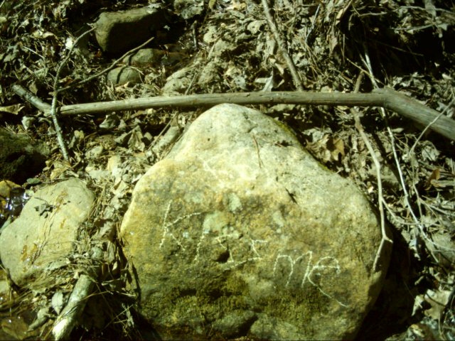 dsci0101.jpg